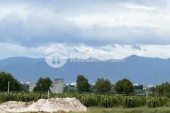 Bán lô đất vườn thị trấn chợ lầu, bắc bình 4174m2 giá 501tr. lh 0919 626 750