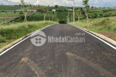 Cần bán đất bảo lộc giá rẻ vị trí đẹp