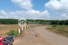 Ảnh hưởng dịch cần bán gấp 1 sào 2 đất trảng bom, 750tr