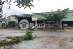 Bán đất ql 55 đoạn thôn 3 lộc thành bảo lâm lâm đồng