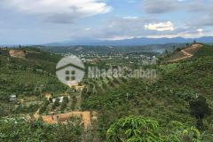 Bán 8,2 xào view rất đẹp 100m mặt đường