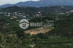 Bán 5,6 xào đất khu dân cư view đẹp