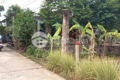 Bán gấp lô đất mặt tiền vũ ngọc phan giá chỉ 17trm2 lh 0346229509