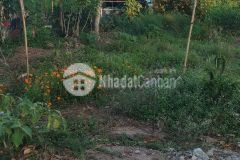 Bán cặp nền lộ 30m, trung tâm hành chánh h. phong điền,tp cần thơ.