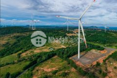 Bán 6500m2 đất trồng cây hàng năm với giá chỉ 670 triệu, sát biển, lh 0901.078.257