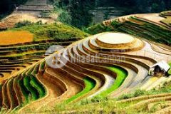 Bán đất khu du lịch sapa 2 đầu tư sinh lời cao dành cho các nhà đầu tư