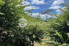 Đất nền mộc châu giá chưa tới 100km nhanh tay