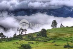 Bán mảnh đất 500m2 mò phú chải, giá siêu khuyến mãi cho nhà đầu tư