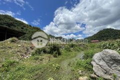 Bán mảnh đất tt thị trấn nông trường mộc châu,giá đầu tư