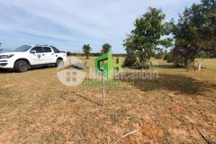 Tôi cần bán lô đất trồng cây ở xã phan thanh, có sổ sẵn diện tích 6500m2