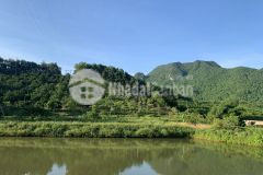 Bán đất lạc thủy hòa bình có vườn cây ao cá đầu tư tiềm năng sinh lợi nhuận khủng