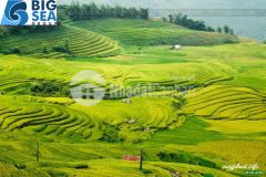 Đất nền y tý, cơ hội đầu tư sinh lời rõ rệt nhất đang chờ các nhà đầu tư