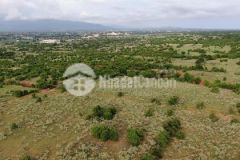 Đất vườn phan thanh shr 6396m2 chỉ 671 triệu, có đường trên sổ