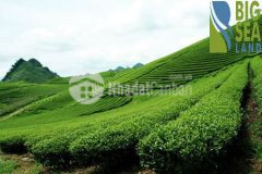 Cần bán đất nền khu du lịch mộc châu sơn la