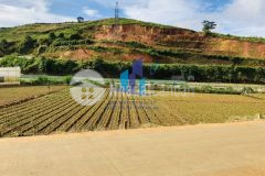 Bán đất đường đankia phường 7 tp. đà lạt. diện tích 2579.94mv 6058.12 giá bán 25 tỷ