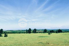 Bán 1héc ta 10.000m2 xã hòa thắng giá chỉ 1,35 tỷ, thương lượng nhẹ