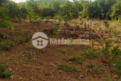 Gấp gấp đất lương sơn, hòa bình 1,4ha, giá 7,5 tỷ