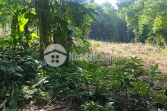 Gấp gấp bán đất lương sơn chỉ với 550 nghìn 1m2