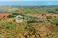 Bán đất vườn bình thuận gần đường quy hoạch liên huyện chỉ 250m.bao cô