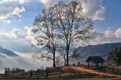 238 m đất vàng trong làng du lịch tại sapa 2, cơ hội có 102 gửi tới nhà đầu tư