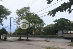 Bán đất giá rẻ tiểu khu 1 thị trấn ái tử 0941076225