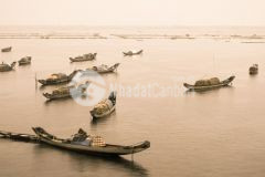 Bán đất view phá tam giang, quảng điền, huế diện tích 250 m2 12,5x20. giá 970 triệu.