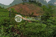 Gấp gấp bán đất tại thị trấn lương sơn chỉ với 1,2 tỷ