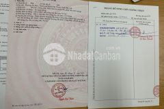 D596 bán đất hẻm 20016 y wang.