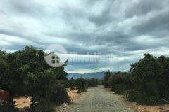 Bán lô đất vườn bình thuận 6396m2 giá bán 105 nghìnm2, đường ô tô vào tận đất, lh 0919 626 750