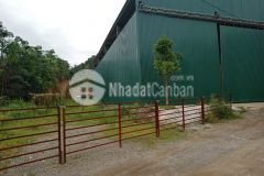 Đất nhà xưởng kỳ sơn, hòa bình 5600m2, giá 12 tỷ