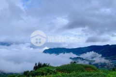 Đất nền y tý, diện tích 532m2, có thổ cư, view toàn cảnh ruộng bậc thang