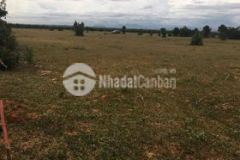 Đất đầu tư bắc bình giá chỉ 70km2 sổ đỏ công chứng ngay