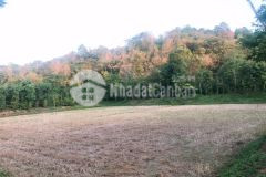 D604 đất view đồi lưng tựa núi mặt hướng thuỷ tuyện đẹp eakao