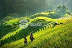 Bán mảnh đất đón đầu cao tốc hoà bình mộc châu giá đầu tư