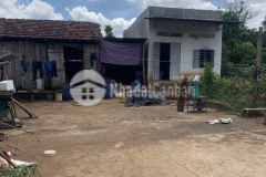 D603 bán 2,47 héc rẩy huyện cư m gar cách ubnd xẫ 2km