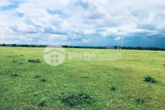 Cần thanh lý gấp lô đất 10355m2 bình thuận, chính chủ giá còn thương lượng. lh 0919 626 750