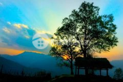 Bán mảnh đất siêu đẹp làm du lịch nghỉ dưỡng tại phan cán sử, y tý sapa 2