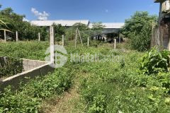 Bán gấp 200m đất kiệt khải định thông thiên thai lh 0346229509