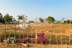 Bán gấp lô đất cln ven biển, diện tích 7965m2, giá rẻ, shr