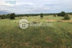 Bán đất bình tân bình thuận dự án kdl safari 3300ha rạng đông shr