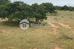 Chính chủ kẹt tiền cần ra gấp 6400m2 đất bình thuận, có đường trên sổ, tặng ngay 3 chỉ vàng