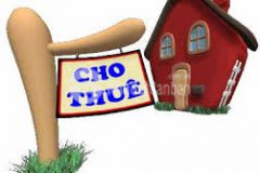 Cho thuê 2 lô m.6,7 nằm ngay mặt tiền đường tôn đức thắng