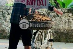 Bán nhà trường chinh 41m2 xây 3 tầng gía 2.95 tỷ. chủ xác định bán đất.