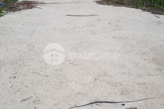 Dịch covid bán lô 138m miếu vàng tân xuân 60m tc 500 triệu