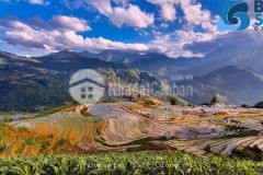 Bán đất nền y tý sapa 2 cách chợ trung tâm 600m