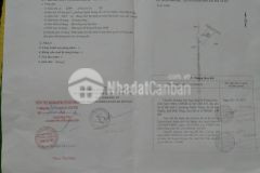 Bán đất giá rẻ tổ 1 phường nghĩa trung gia nghĩa đắk nông