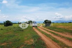 Cần bán đất hoà thắng gần kdl bàu trắng giá rẻ mùa dịch chỉ 130km2 tặng đến 10 chỉ lh 0938677909