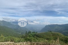 Bán mảnh đất siêu đẹp làm du lịch nghỉ dưỡng tại y tý sapa 2