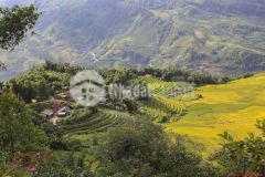 Mảnh đất trung tâm y tý duy nhất còn sót lại,giá yêu thương