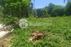 Đất siêu rẻ lương sơn, hòa bình 1900m2, giá 3,9 tỷ